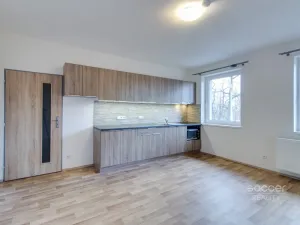 Pronájem bytu 1+kk, Brandýs nad Labem-Stará Boleslav - Stará Boleslav, Boleslavská, 29 m2