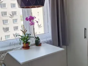 Pronájem bytu 1+1, Valašské Meziříčí, Havlíčkova, 33 m2