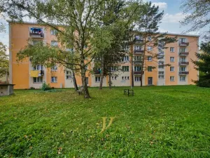 Pronájem bytu 1+1, Olomouc - Nová Ulice, Dělnická, 41 m2