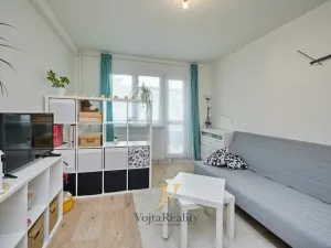 Pronájem bytu 1+1, Olomouc - Nová Ulice, Dělnická, 41 m2