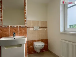 Pronájem bytu 1+kk, Vojkovice, 40 m2