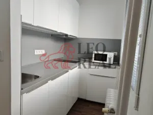 Pronájem bytu 1+kk, Praha - Podolí, Kaplická, 33 m2