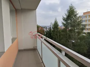 Pronájem bytu 1+kk, Praha - Podolí, Kaplická, 33 m2