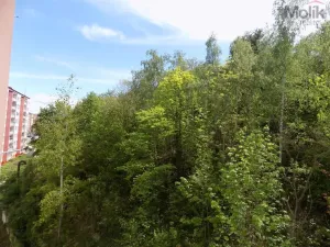 Prodej bytu 2+kk, Teplice, Pražská, 39 m2