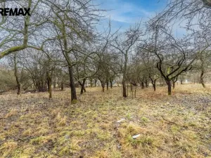 Prodej pozemku pro bydlení, Vítězná - Kocléřov, 2386 m2