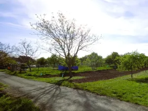 Prodej pozemku pro bydlení, Starý Poddvorov, 308 m2