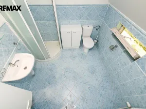 Prodej chalupy, Osečná - Zábrdí, 215 m2