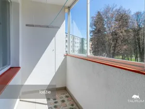 Prodej bytu 3+1, Žlutice, Vítězná, 66 m2