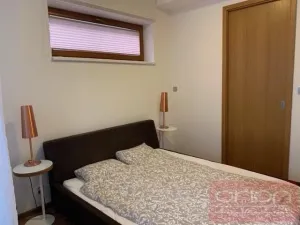 Pronájem bytu 1+kk, Praha - Vinohrady, Uruguayská, 60 m2