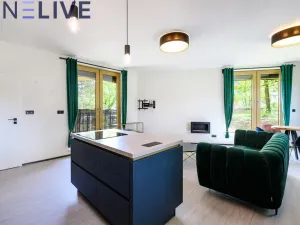 Pronájem bytu 2+kk, Plzeň, Bolevecká, 67 m2