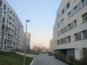 Pronájem bytu 1+kk, Praha - Karlín, Breitfeldova, 37 m2