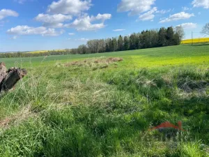 Prodej rodinného domu, Dolní Životice, Podlesí, 152 m2