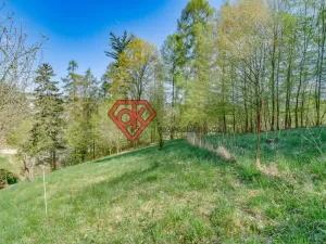 Prodej chaty, Letohrad - Červená, 50 m2