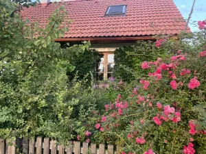 Prodej rodinného domu, Nová Ves u Mladé Vožice - Horní Střítež, 150 m2