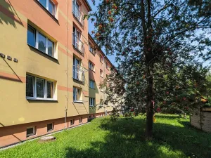 Prodej bytu 2+1, Česká Třebová, Litomyšlská, 50 m2