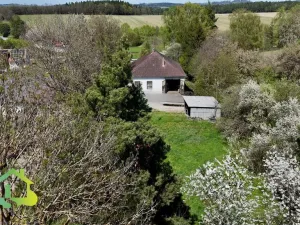 Prodej obchodního prostoru, Opařany - Oltyně, 300 m2