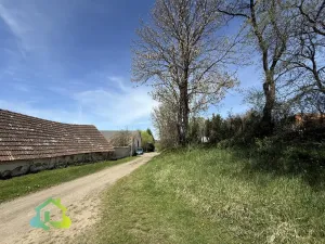 Prodej obchodního prostoru, Opařany - Oltyně, 300 m2