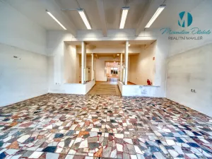 Pronájem obchodního prostoru, Hradec Králové, S. K. Neumanna, 250 m2