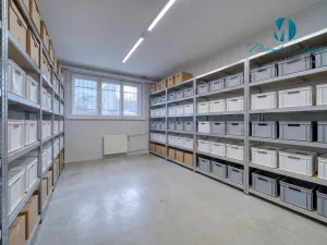 Pronájem obchodního prostoru, Hradec Králové, S. K. Neumanna, 250 m2