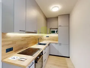 Pronájem bytu 1+kk, Olomouc, Wolkerova, 43 m2