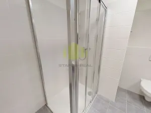 Pronájem bytu 1+kk, Olomouc, Wolkerova, 43 m2