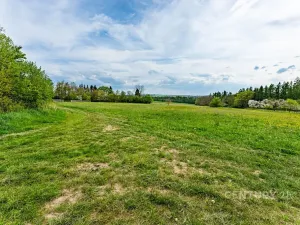 Prodej zemědělské usedlosti, Loket, 80 m2