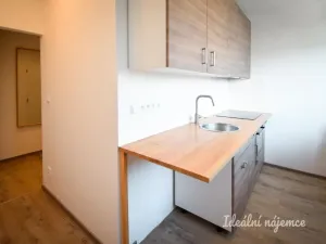 Pronájem bytu 2+1, Brno - Lesná, Ibsenova, 55 m2
