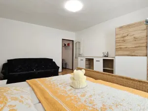 Pronájem bytu 1+1, Sebranice, 30 m2