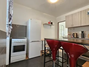 Pronájem bytu 1+1, Sebranice, 30 m2