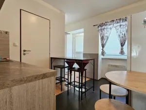Pronájem bytu 1+1, Sebranice, 30 m2
