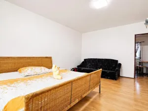 Pronájem bytu 1+1, Sebranice, 30 m2