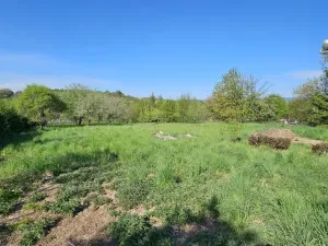 Pronájem bytu 1+1, Sebranice, 30 m2