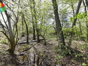 Prodej pozemku pro bydlení, Skuhrov, 1132 m2