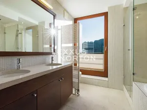 Pronájem bytu 6+kk a větší, Praha - Košíře, U Vojanky, 300 m2