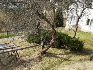 Prodej pozemku, Liberec - Liberec XXX-Vratislavice nad Nisou, Prosečská, 1708 m2