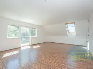 Prodej rodinného domu, Čisovice - Bojov, 170 m2