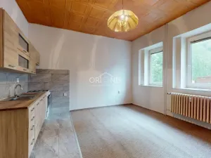 Prodej bytu 1+1, Ústí nad Labem - Neštěmice, Železná, 37 m2