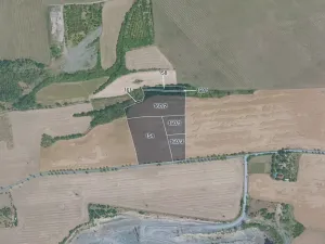 Prodej pole, Husinec, 20697 m2