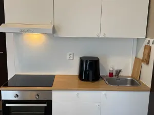 Pronájem bytu 1+kk, Brno, Francouzská, 26 m2