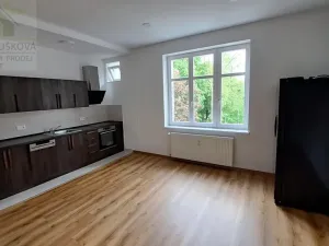 Pronájem bytu 3+kk, Ostrava, Hollarova, 85 m2