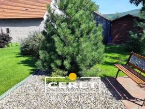 Prodej rodinného domu, Vinařice, 90 m2