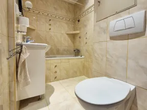 Pronájem bytu 2+1, České Budějovice, J. Opletala, 66 m2