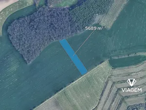 Prodej podílu pole, Těšany, 355 m2