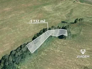 Prodej lesa, Jablonné v Podještědí, 1732 m2