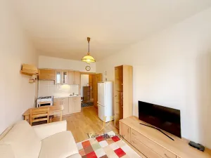 Pronájem bytu 2+kk, Olomouc, Gorazdovo nám., 43 m2