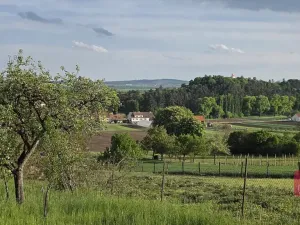 Prodej pole, Tvarožná, 1232 m2