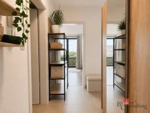 Pronájem bytu 2+kk, Plzeň - Východní Předměstí, Kartónová, 54 m2