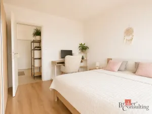 Pronájem bytu 2+kk, Plzeň - Východní Předměstí, Kartónová, 54 m2