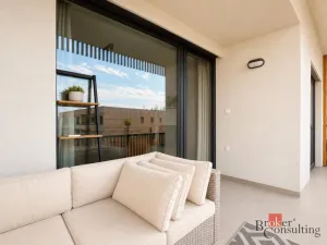 Pronájem bytu 2+kk, Plzeň - Východní Předměstí, Kartónová, 54 m2