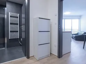 Pronájem bytu 2+kk, Brno, Nachová, 38 m2